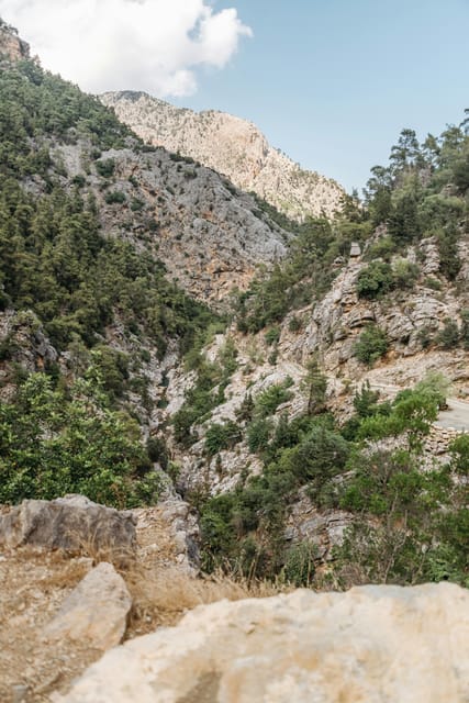 SAMARIA GORGE Full-Day Trip From CHANIA - Itinerary and Experience