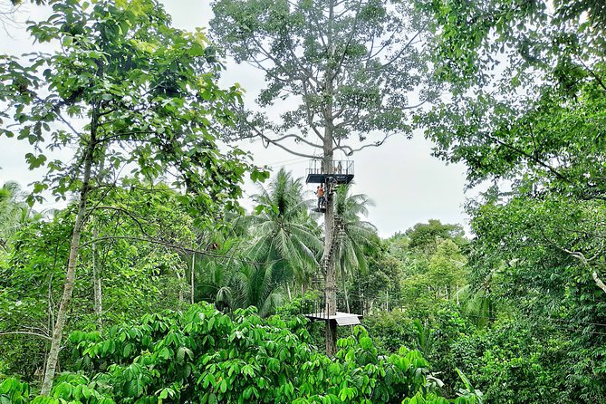 Samui Zipline Explore and Connect With Nature - Safety Guidelines for Participants