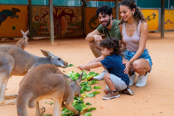 San Antonio Zoo General Admission Ticket - Visitor Amenities and Services