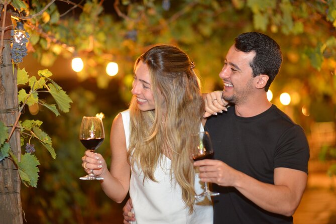 San Gimignano Romantic Dinner in the Vineyards - Wine Tasting and Picturesque Setting
