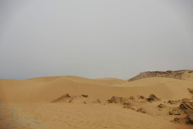 Sandboarding Guided Experience From Agadir - Itinerary Highlights