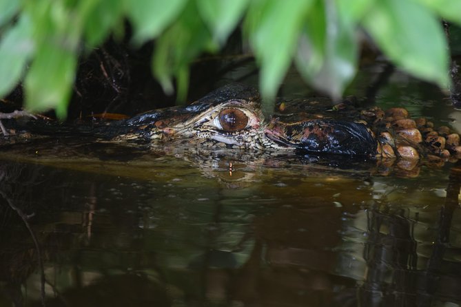 Sandoval Lake and Tambopata National Reserve - Meeting and Pickup Information