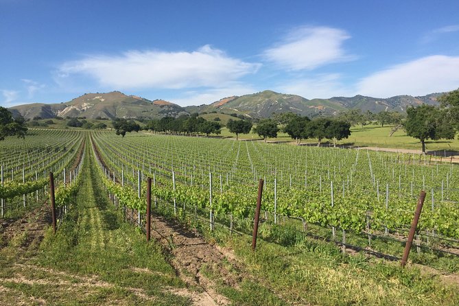 Santa Barbara Wine Tour Experience - Authentic and Boutique - Customization and Accessibility
