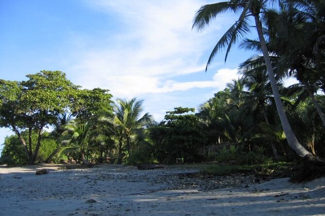 Santa Teresa Beach To/ From Tamarindo Beach - PRIVATE TRANSFER - Pickup and Drop-off