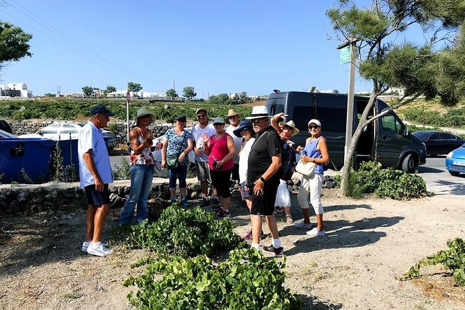 Santorini Half Day Wine Tasting & Winery Tour With Pickup - Pickup Information