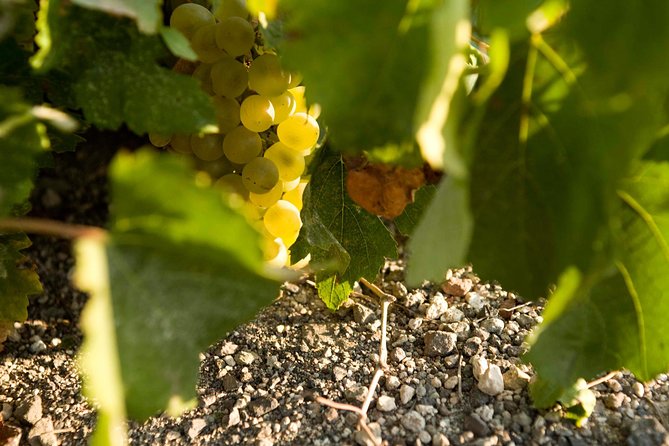 Santorini Private Wine and Food Tour - Itinerary and Highlights