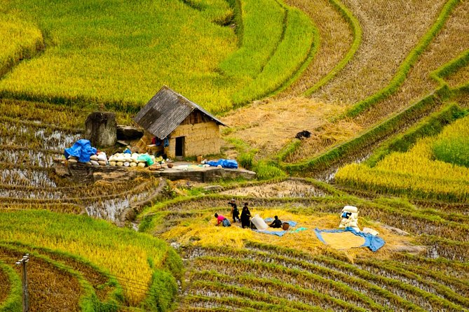 Sapa Hard Trekking Villages 2d/1n: Homestay, Meals, English Speaking Guide - Accommodations and Homestay Options