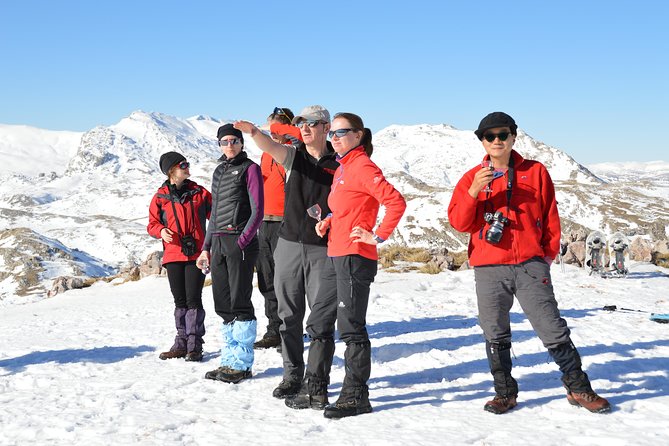 Sarajevo Snowshoeing Adventure - Relaxing Transfer Back to the City
