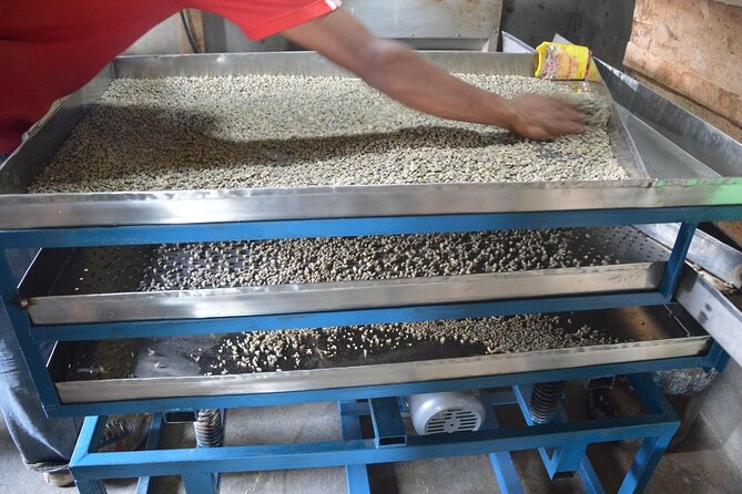 Sarangkot Village Coffee Culture and Authentic Local Life Tour - Itinerary and Hiking Details