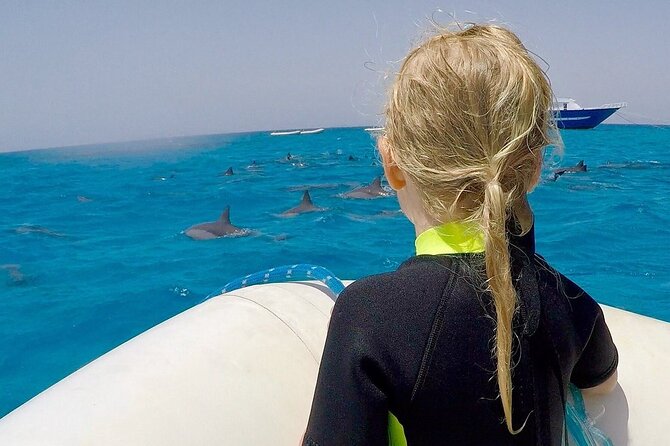 Sataya Dolphin House Snorkel Trip - Marsa Alam - Encountering Spinner Dolphins