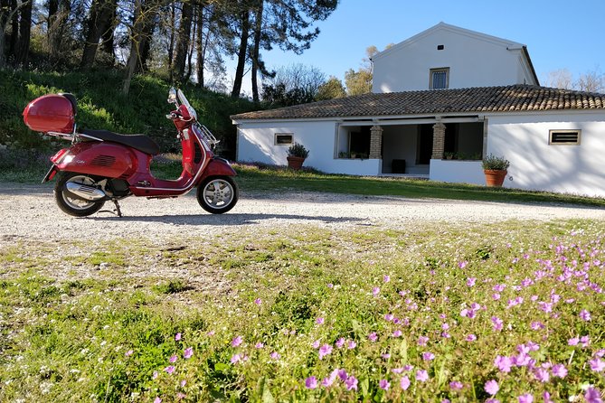 Savour The Flavors Of Corfu Vespa Scooter Tour - Discovering Local Wineries and Olive Oil