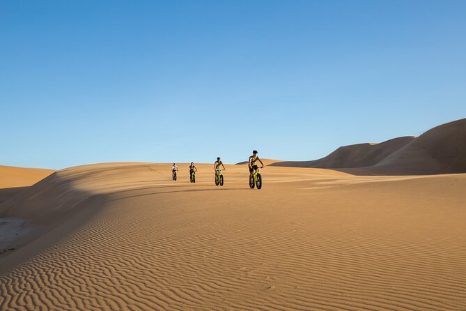 Scenic Desert Tour by Bike - Ecological Benefits of Biking