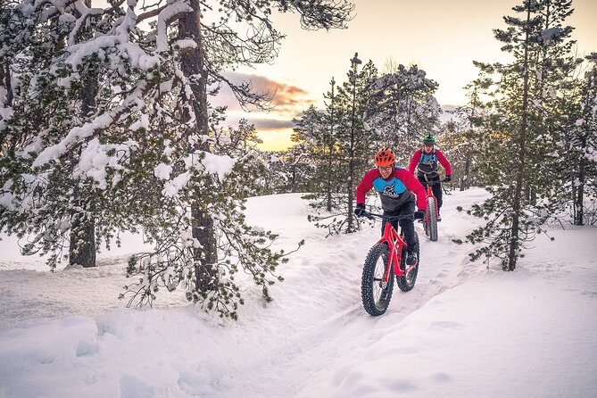 Scenic Electric Fat Bike Group Ride in Rovaniemi - Logistics and Meeting Point