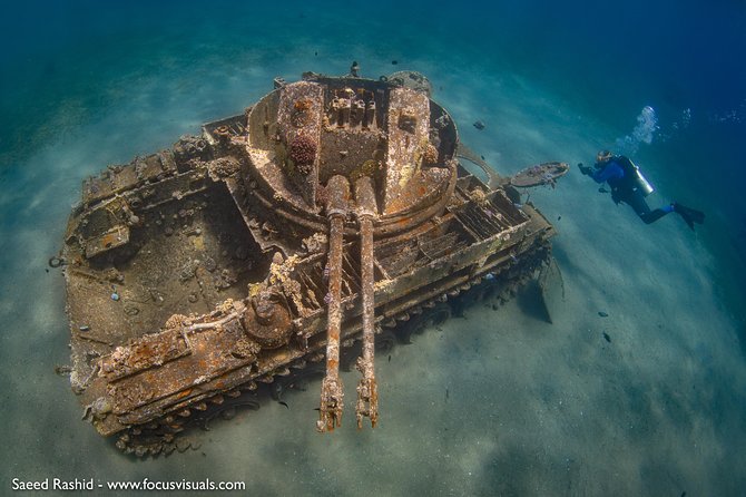 Scuba Diving for Certified Divers - Pickup Locations and Schedule