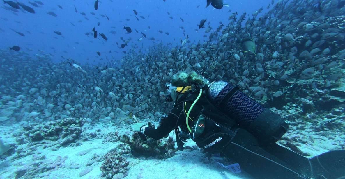 Scuba Diving in Hikkaduwa - Location and Environment