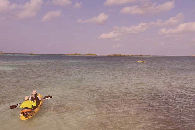 Sea Glass Island Kayak & Sunset Tour - Health and Safety Guidelines