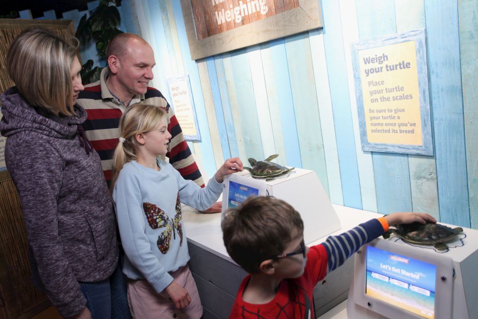 SEA LIFE Blackpool Entrance Ticket - Aquatic Creatures and Underwater Encounters