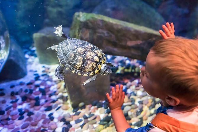 SEA LIFE Brighton Admission Ticket - Ticket and Admission Information