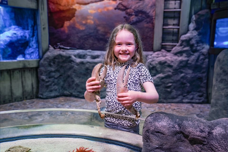 SEA LIFE Great Yarmouth - Attractions and Experiences