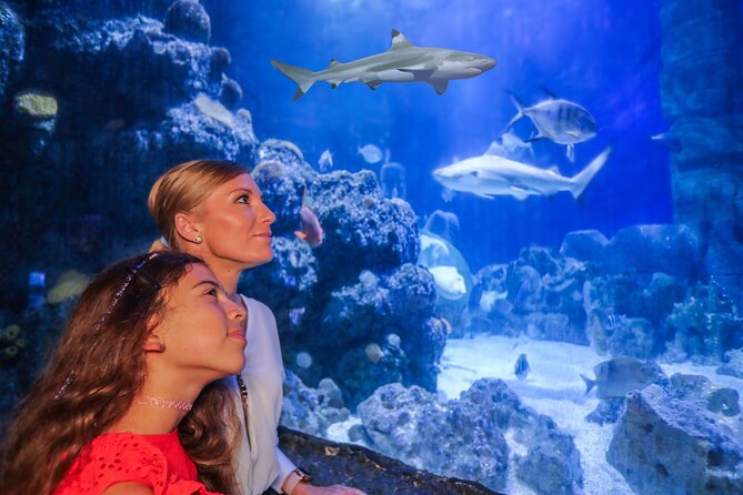 SEA LIFE Munich Admission Ticket - Shark Diversity at SEA LIFE Munich