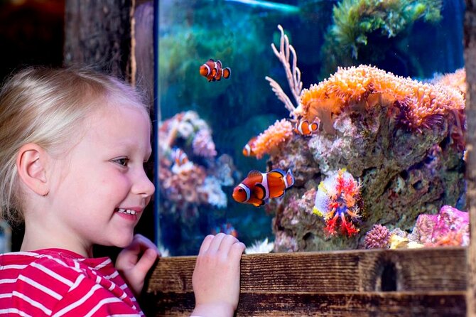 SEA LIFE Oberhausen Admission Ticket - Unique Marine Life Exhibits