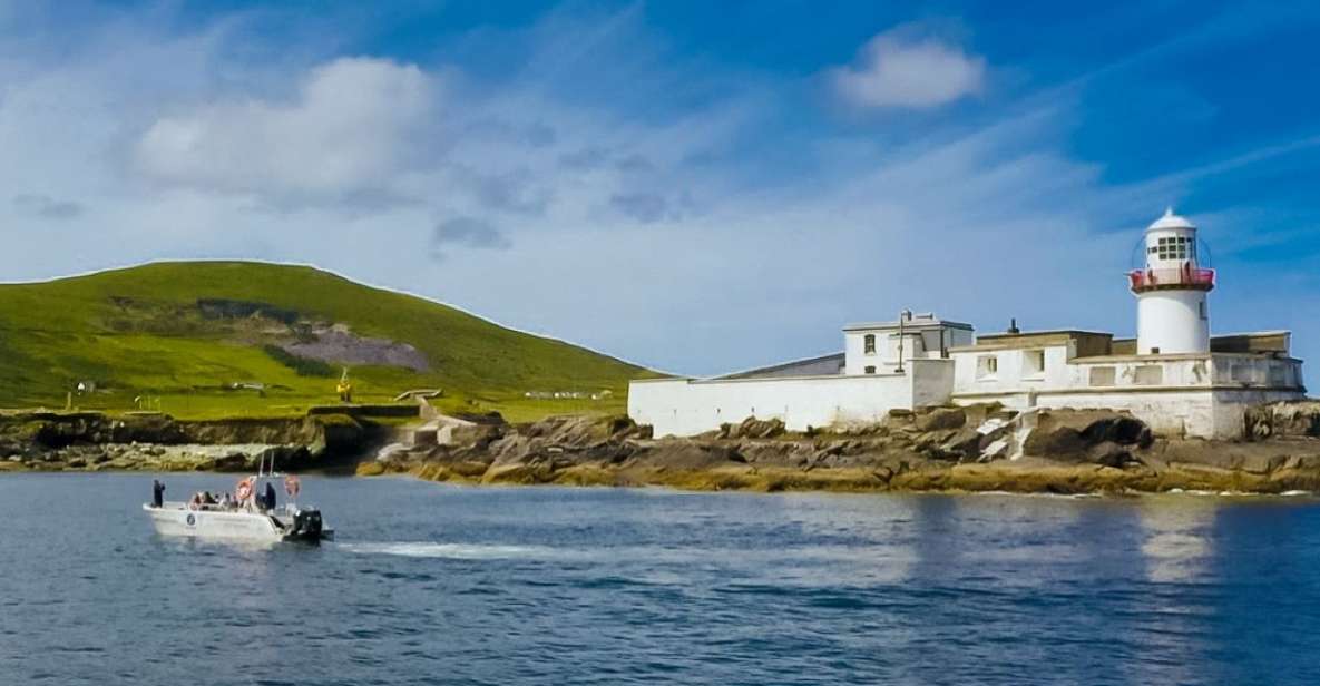 Sea Safari & Adventure : The Valentia Island Experience - Itinerary Highlights