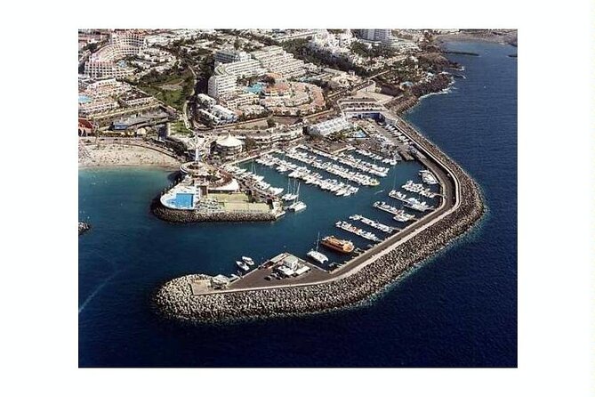 SEA SAFARI Dolphins,Whales, Snorkeling, Snack, Drink, 3h Private - Meeting Point and Pickup