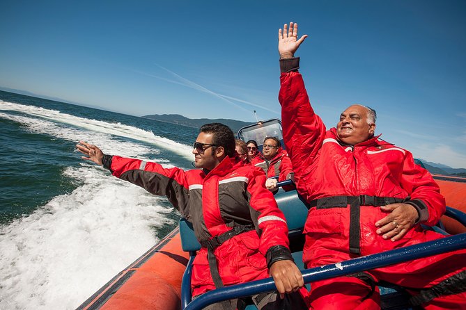 Sea Safari Tour From Vancouver - Wildlife and Scenery