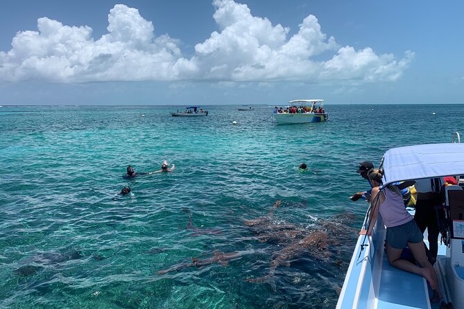 Second Largest Barrier Reef Adventure Snorkeling - Accessibility and Requirements