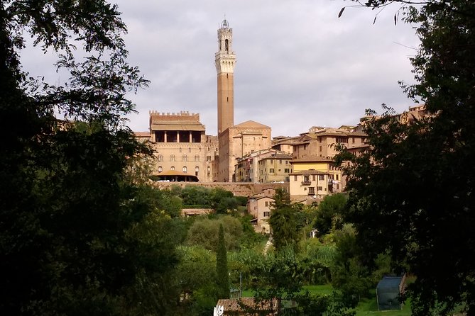 Secret Siena Walking Tour - Meeting and Pickup Details