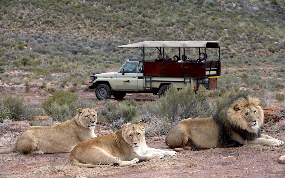 Self Drive Aquila Safari Reserve Early Morning Game Drive - Booking and Cancellation Details