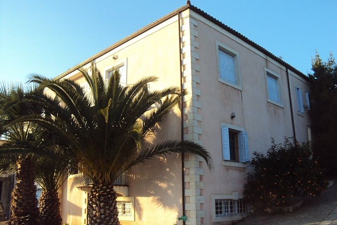 Semi Private Wine and Olive Oil Tour (Transfer & Lunch Incl.) - Experiences Included