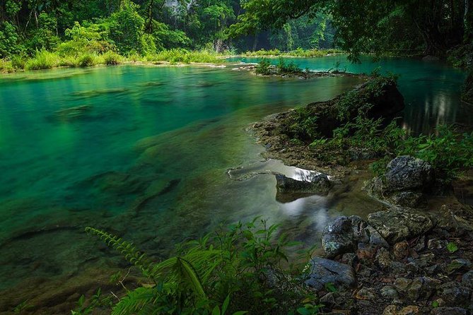 Semuc Champey: Discover Its Paradisiacal Turquoise Waters - Full Day From Coban - Experiencing the Refreshing Waters