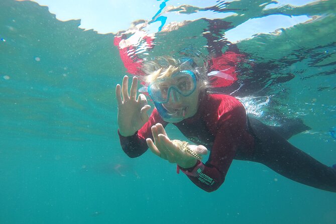 Sesimbra Small-Group Snorkeling Tour  - Setubal District - Meeting Location Details