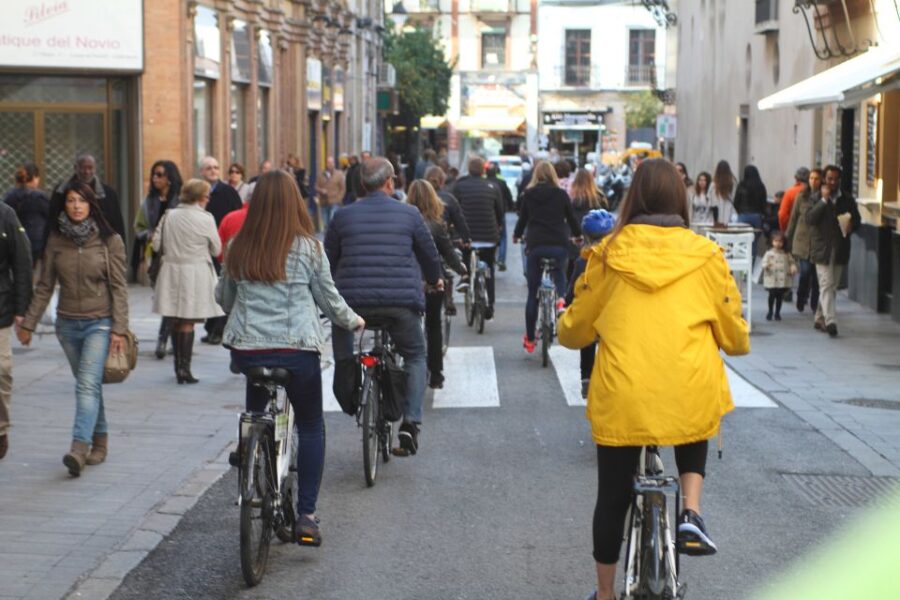 Seville: 1-Day Bike Rental