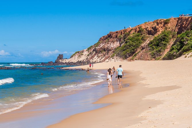 Shared Shuttle Between Natal Airport and Pipa Hotels - Inclusions and Accessibility