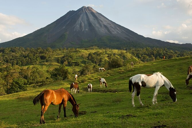 Shared Shuttle San Jose to Arenal - Amenities Included