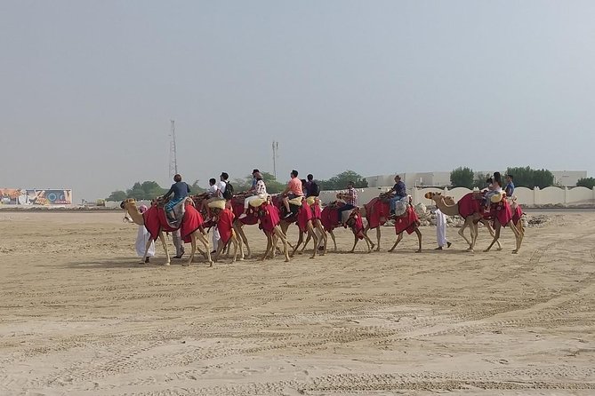 Sharing or Private Safari, Sand Boarding, Camel Ride, Inland Sea Quick Swim - Pickup and Transportation Details