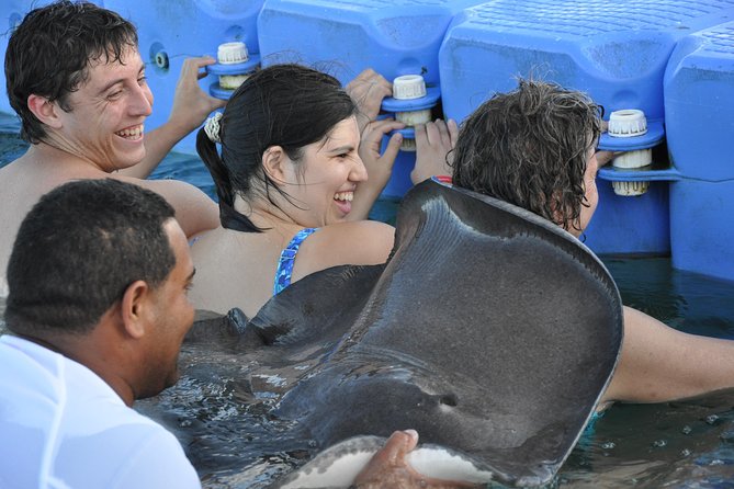 Sharks & Stingrays Encounter and Small Boat Ride From Punta Cana - Meeting and Pickup Information