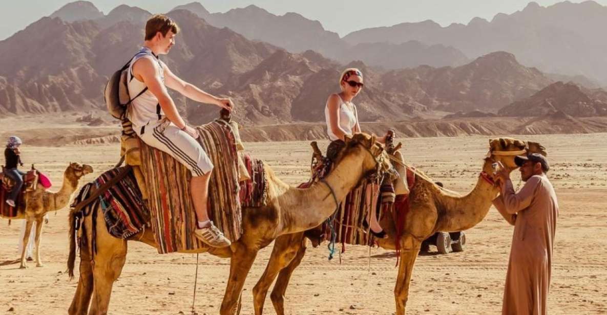 Sharm: Atv, Camel Ride, BBQ Dinner & Show W Private Transfer - Detailed Itinerary