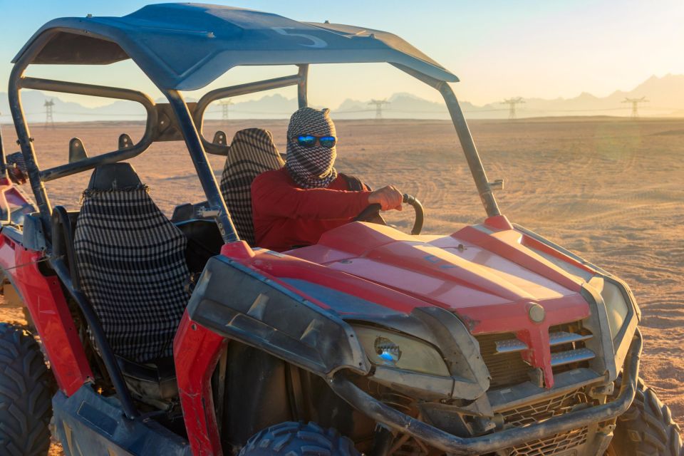 Sharm: Desert Adventures ATV, Buggy, Horse Ride & Camel Ride - Itinerary of Activities