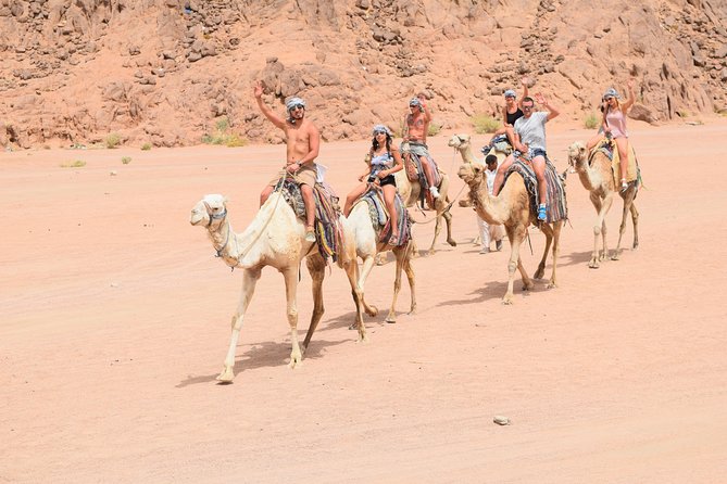 Sharm El Sheikh Desert Adventure (5X1) - Transportation and Logistics