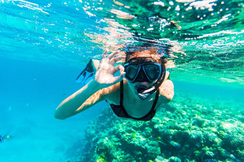 Sharm El Sheikh: Snorkeling at Ras Mohamed & White Island - How to Book Your Tour