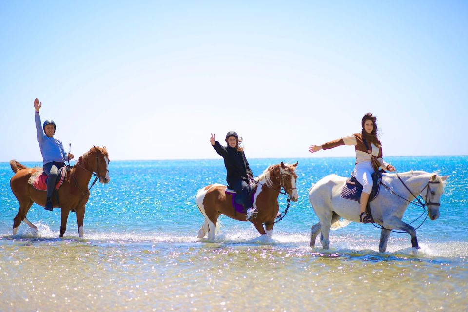 Sharm El Shiekh: Beach and Desert Horse Riding Tour - Experience Highlights