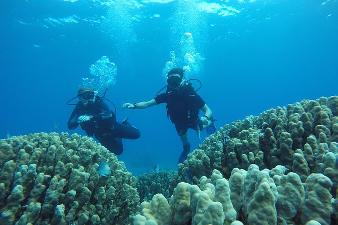 Shore Discover SCUBA Diving/Introductory Diving - One Dive - Package Details