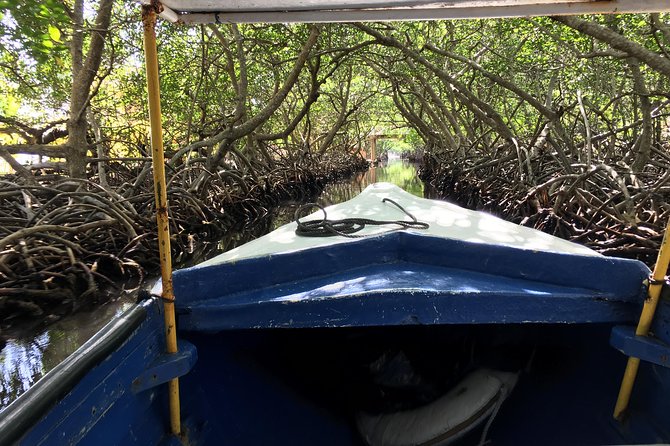 Shore Excursion: Garifuna History With Wildlife and Mangrove Tour - Inclusions
