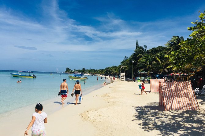 Shore Excursion: Horseback Riding With Wildlife and Reef Snorkel - Itinerary Details