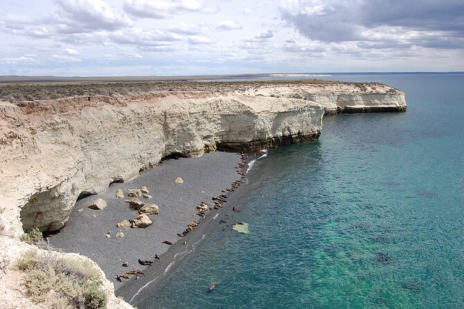 Shore Excursion Punta Loma Sea Lions Reserve Including Puerto Madryn City Tour - Inclusions and Logistics