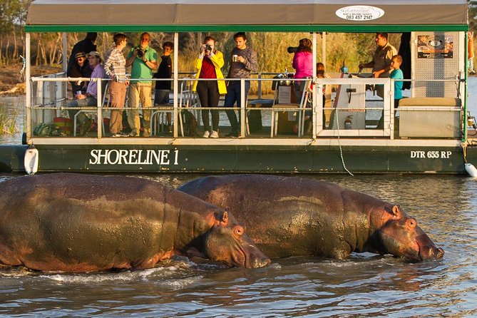 Shoreline Hippo and Crocodile Boat Cruises, Isimangaliso Wetland Park - Meeting Point and Directions