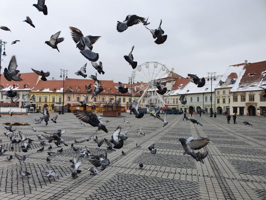 Sibiu City Tour - Private Day Trip From Bucharest - Itinerary Highlights